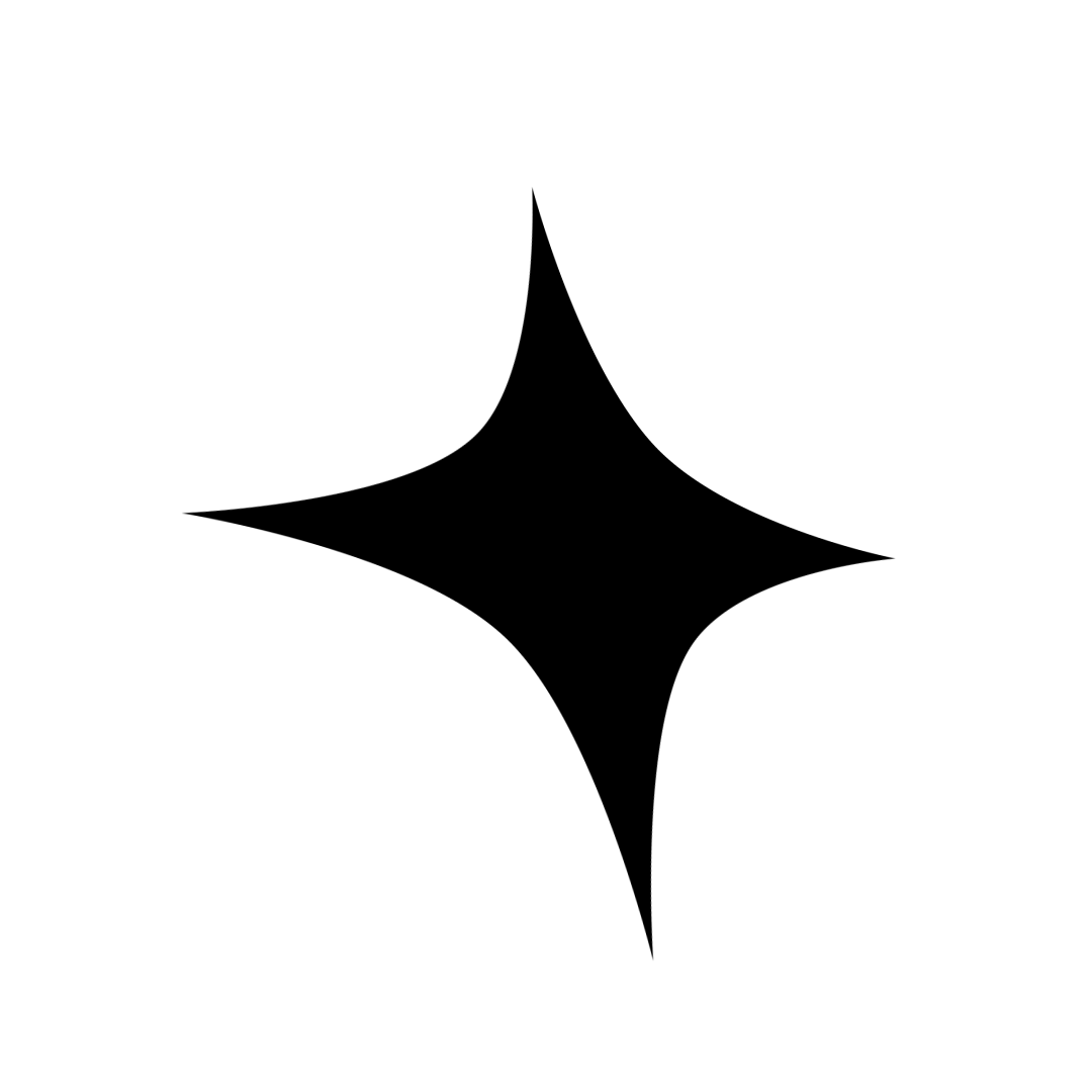 SaturnSoftware Logo